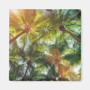 Imán Palmeras de coco en la playa