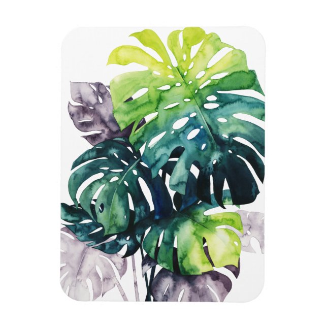 Imán Palmeras de luz de fuerza - hoja dividida (Vertical)