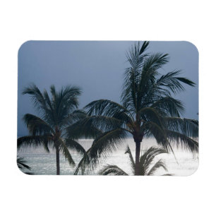 Imán Palmeras en la playa