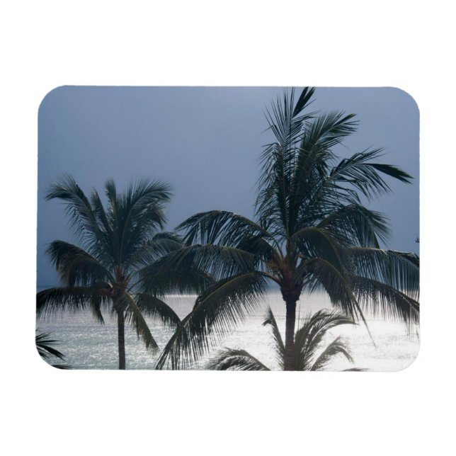 Imán Palmeras En La Playa (Horizontal)