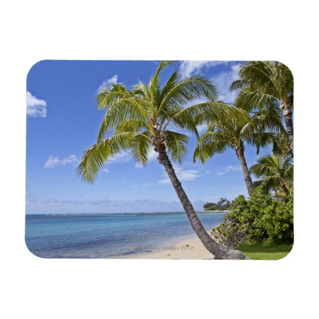 Imán Palmeras en la playa de Hawaii. (Horizontal)