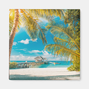 Imán Palmeras en un hermoso atardecer