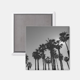 Imán Palmeras oceánicas de verano Fotografía en blanco 