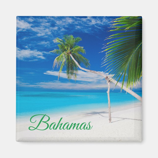 Imán Palmeras Tropical Blue Exotic Bahamas Beach Palms (Frente)