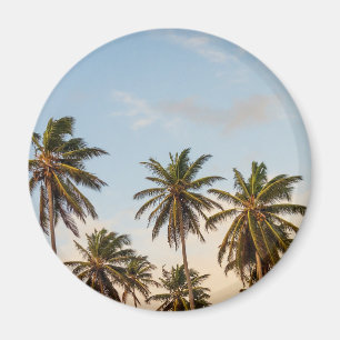 Imán Palmeras Tropicales