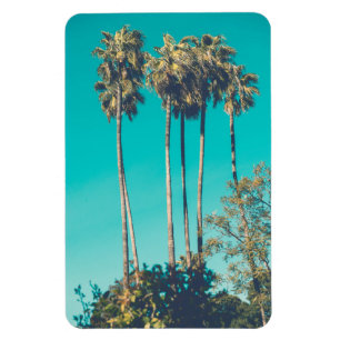 Imán Palmeras Tropicales California Ambiente Retro