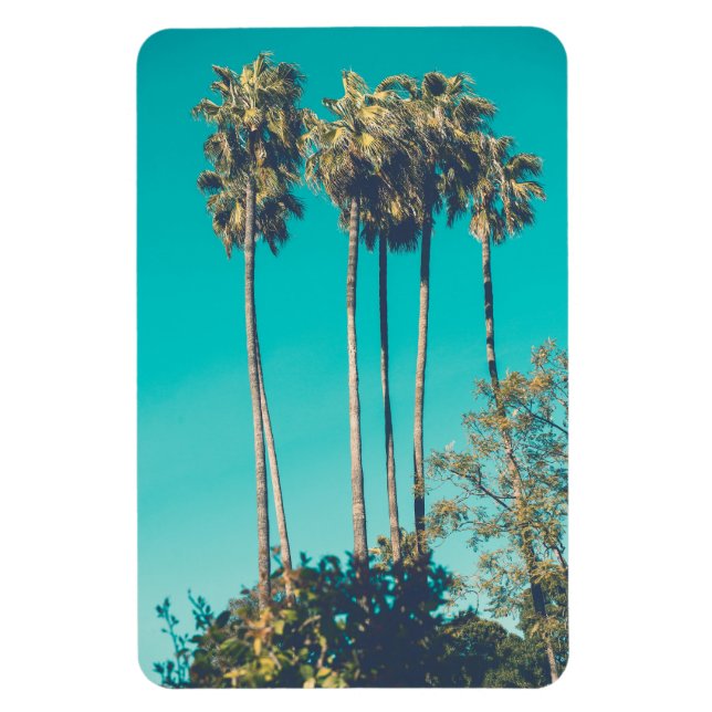 Imán Palmeras Tropicales California Ambiente Retro (Vertical)