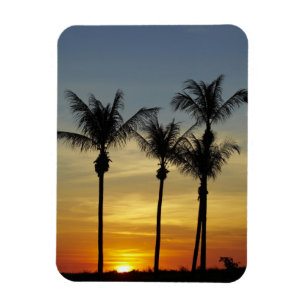 Imán Palmeras y puesta de sol, Mindil Beach