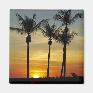 Imán Palmeras y puesta de sol, Mindil Beach