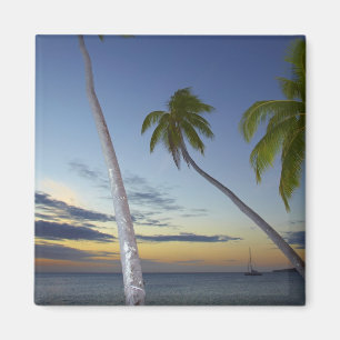 Imán Palmeras y puesta de sol, Plantation Island Resort