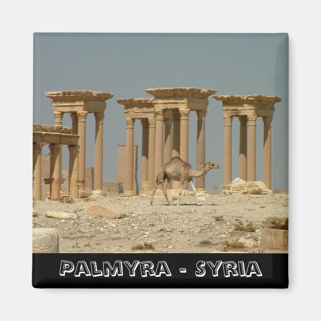 Imán Palmira, tesoros de Siria No.3 (Fridge Magnet) (Frente)