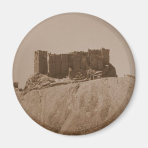 Imán Palmyra
