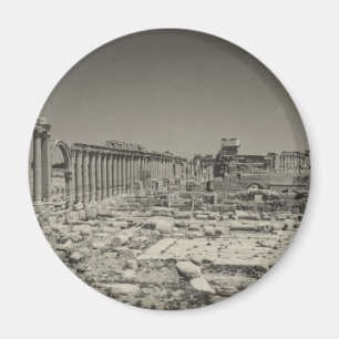 Imán Palmyra