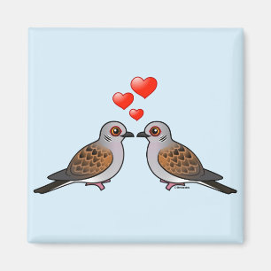 Imán Palomas de la tortuga en amor