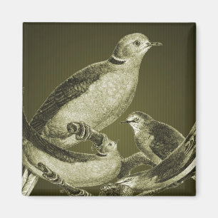 Imán Palomas En Rama De Redes De Arte De Aves