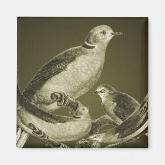Imán Palomas En Rama De Redes De Arte De Aves