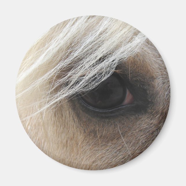 Imán Palomino Horse Eye (Frente)