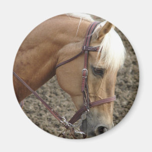 Imán Palomino Occidental