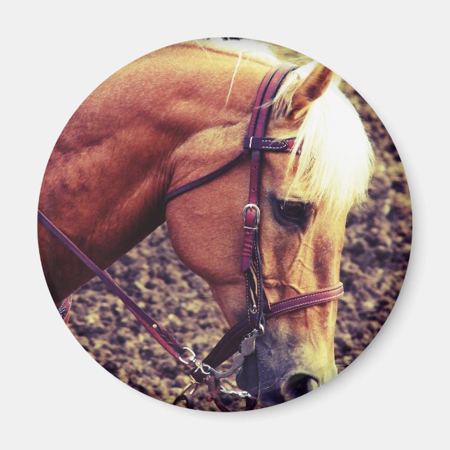 Imán Palomino Occidental (Frente)