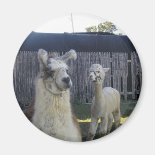 Imán Pals de la llama