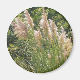 Imán Pampas Grass Magnet