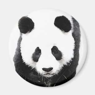 Imán Panda