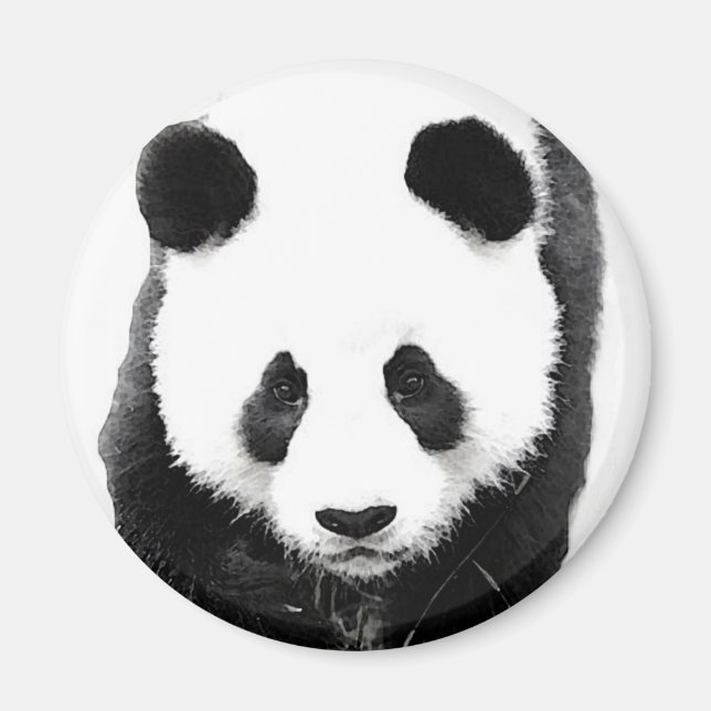 Imán Panda (Frente)