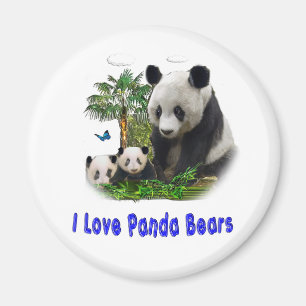 Imán Panda Bears