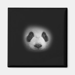 Imán Panda Cara De Oso Para Los Amantes De Los Animales
