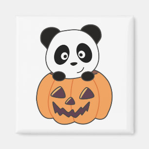 Imán Panda En Calabaza Dulce Pandas Feliz Halloween Mag