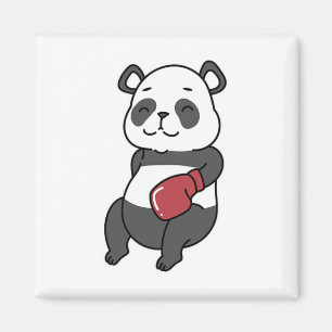 Imán Panda hace boxeo