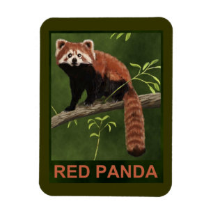 Imán Panda rojo