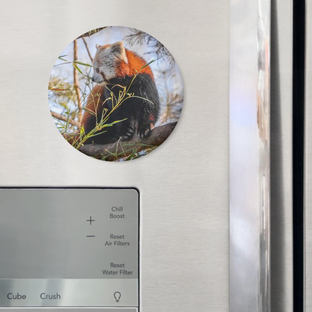 Imán Panda rojo (In situ (nevera))
