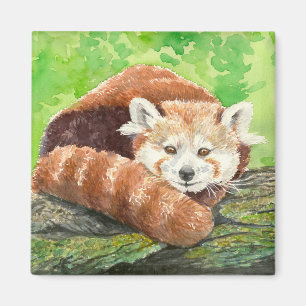 Imán Panda rojo