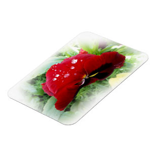 Imán Panda rojo brillante