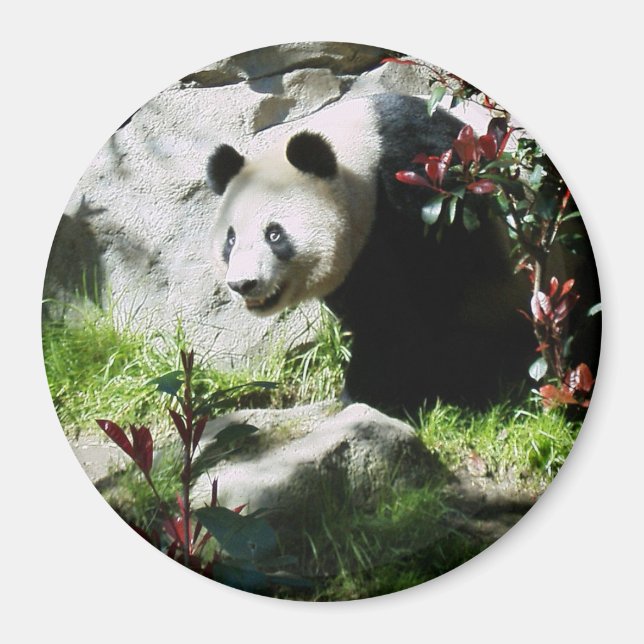 Imán Panda Smile (Frente)