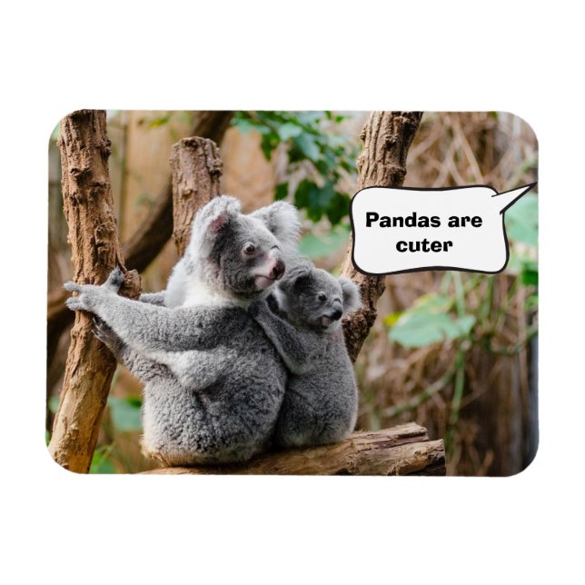 Imán Pandas o Koalas - ¿Cuáles son más atractivos? (Horizontal)