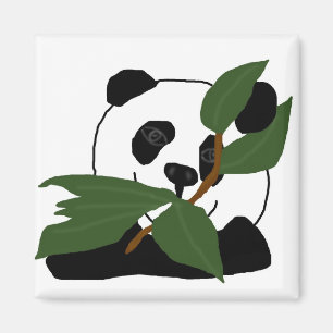 Imán Pandy SCariño