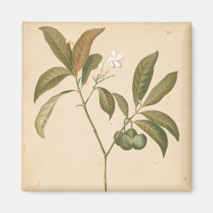 Imán Panel deco cobalto I