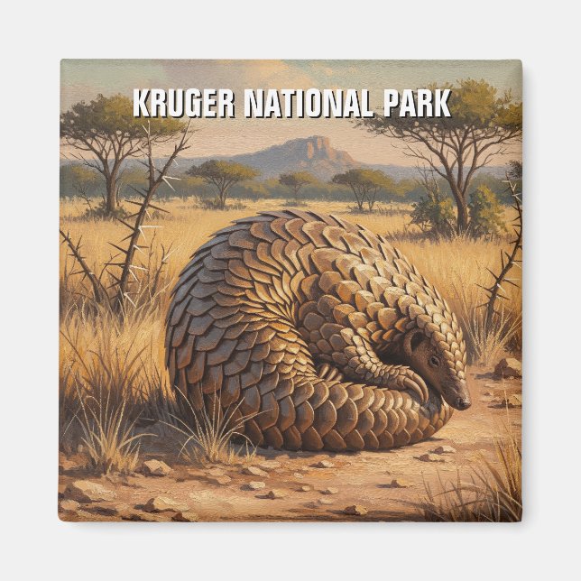 Imán Pangolin en el Parque Nacional Kruger Sudáfrica (Frente)