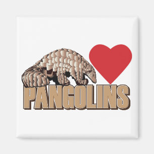 Imán Pangolins-Heart