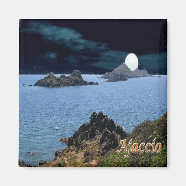 Imán panorama de AJACCIO zFR127, Córcega, Fridge (Frente)