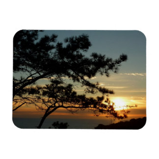 Imán Panorama de Torrey Pine Sunset