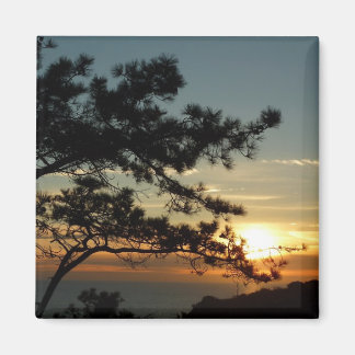 Imán Panorama de Torrey Pine Sunset