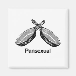 Imán Pansexual -