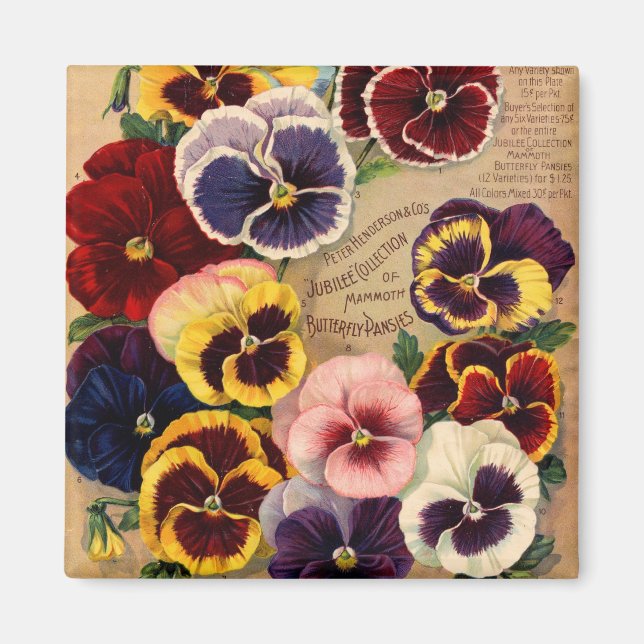 Imán Pansies Seed Packet Magnets (Frente)