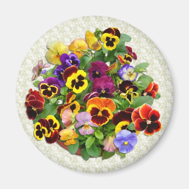 Imán PANSY BEAUTY~ Magnet (Frente)