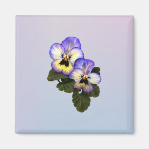 Imán Pansy Duo