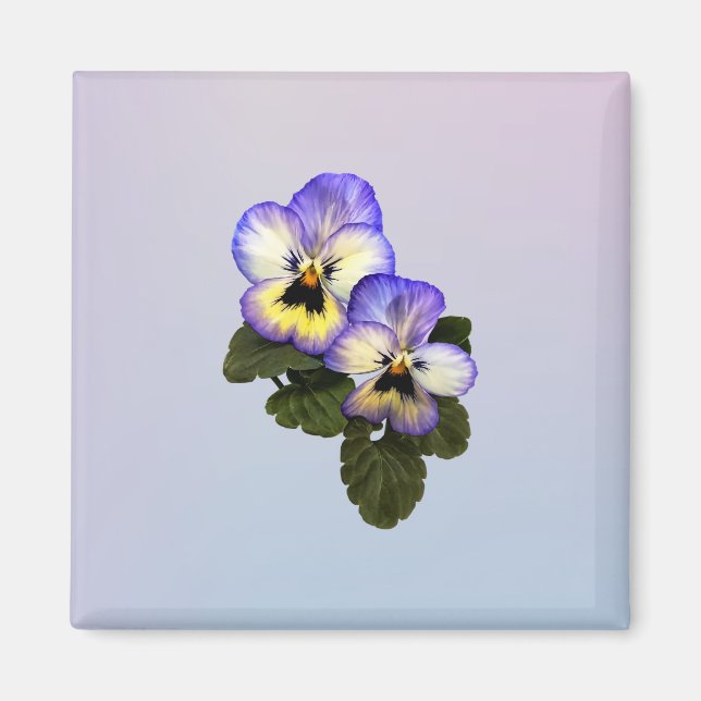 Imán Pansy Duo (Frente)
