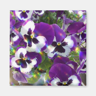 Imán Pansy Square Magnet